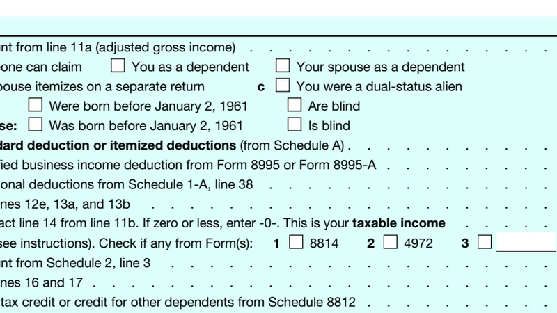 2025 Form 1040, page 2, where line 12e is labeled for the standard deduction or itemized deductions from Schedule A.